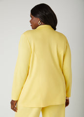 Ponte Blazer